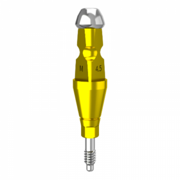 Vassoio aperto per impronte DMR Regular Impression Coping